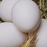 limpieza energética con un huevo