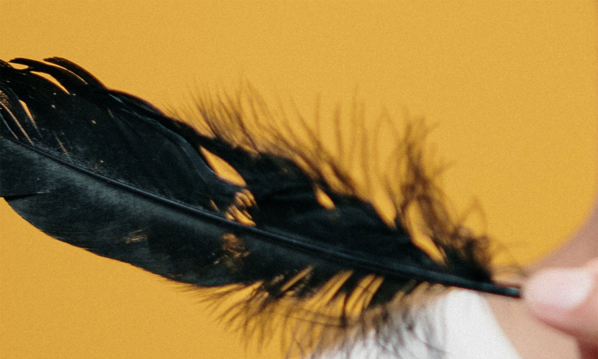 significado plumas negras brujería
