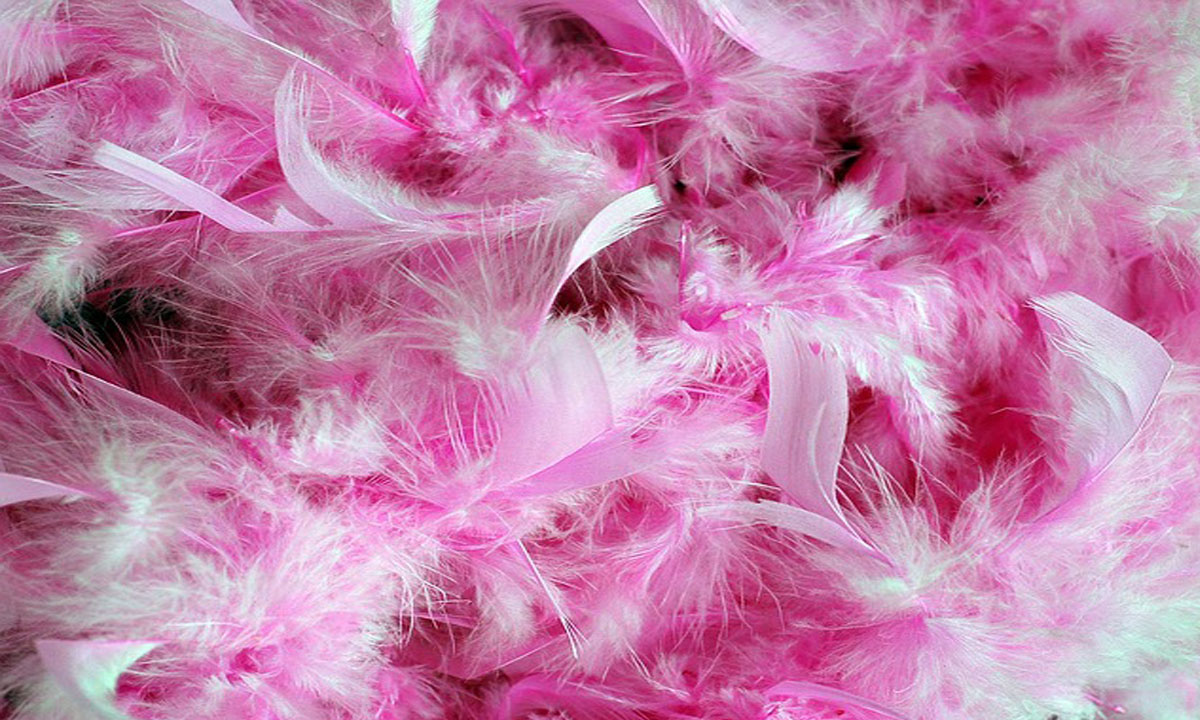 pluma rosa significado espiritual 
